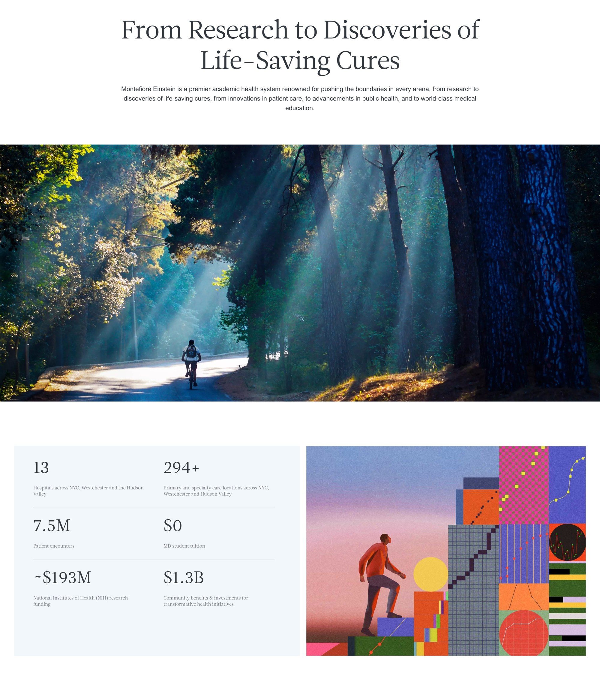 The Montefiore Einstein homepage: the headline From Research to Discoveries of Life-Saving Cures over a sunlit forest road, with key figures and an illustration below
