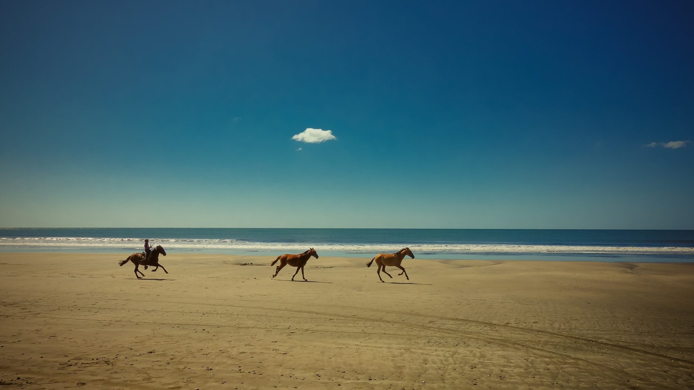 A rider and two loose horses gallop along a wide beach under a deep blue sky with a single small cloud